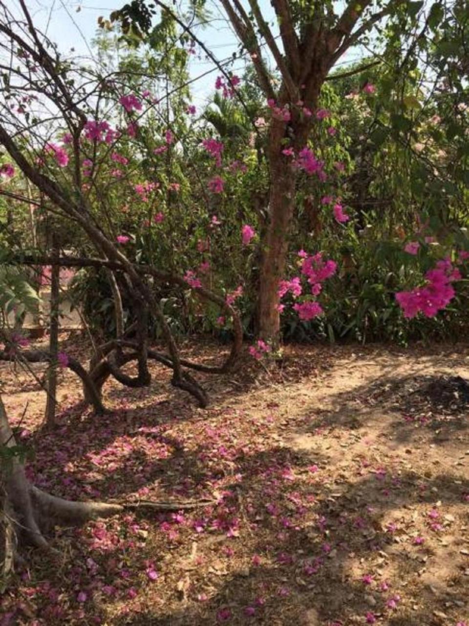 فندق يانجان إيربورت إن Gyogon المظهر الخارجي الصورة